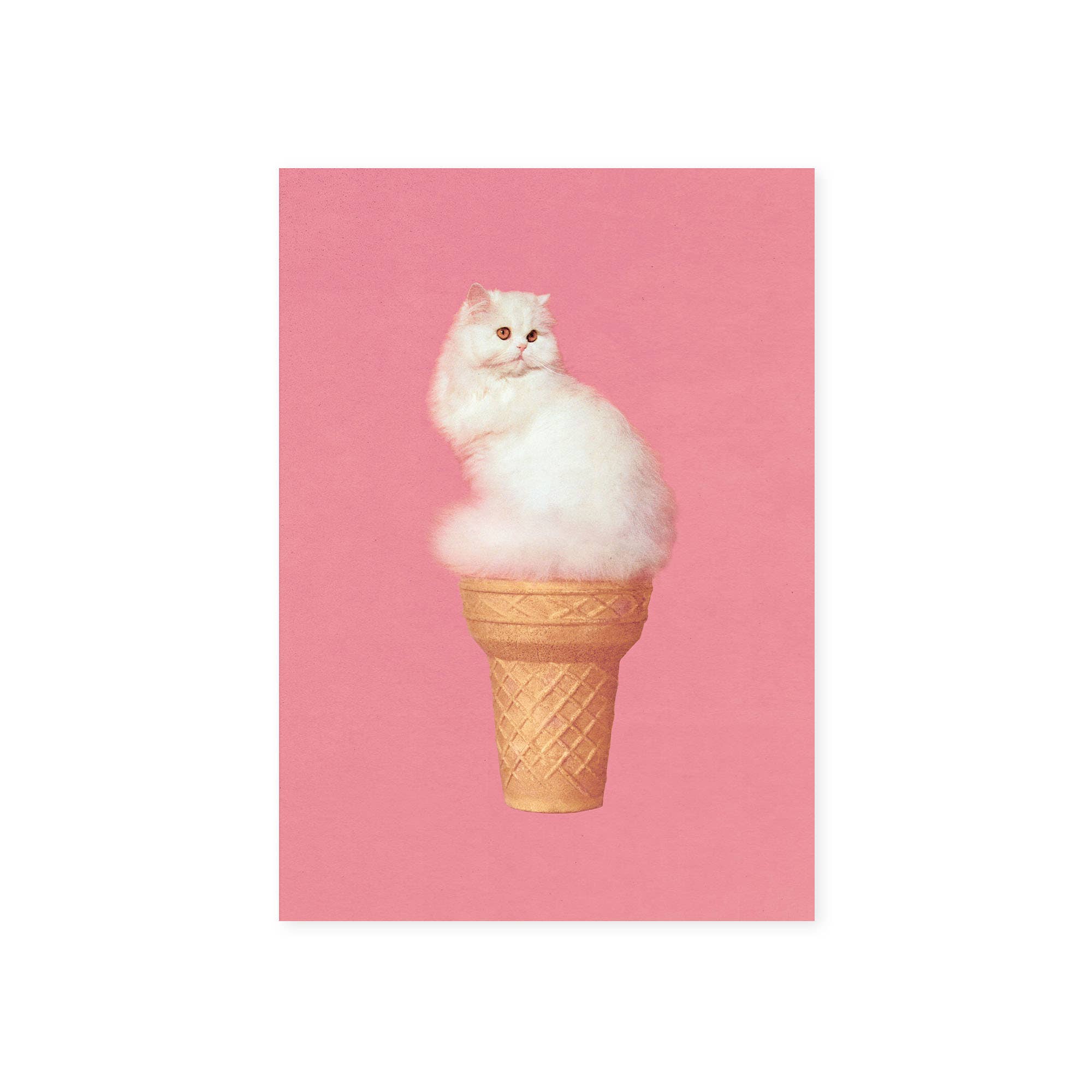 Cat Ice Cream Postcard