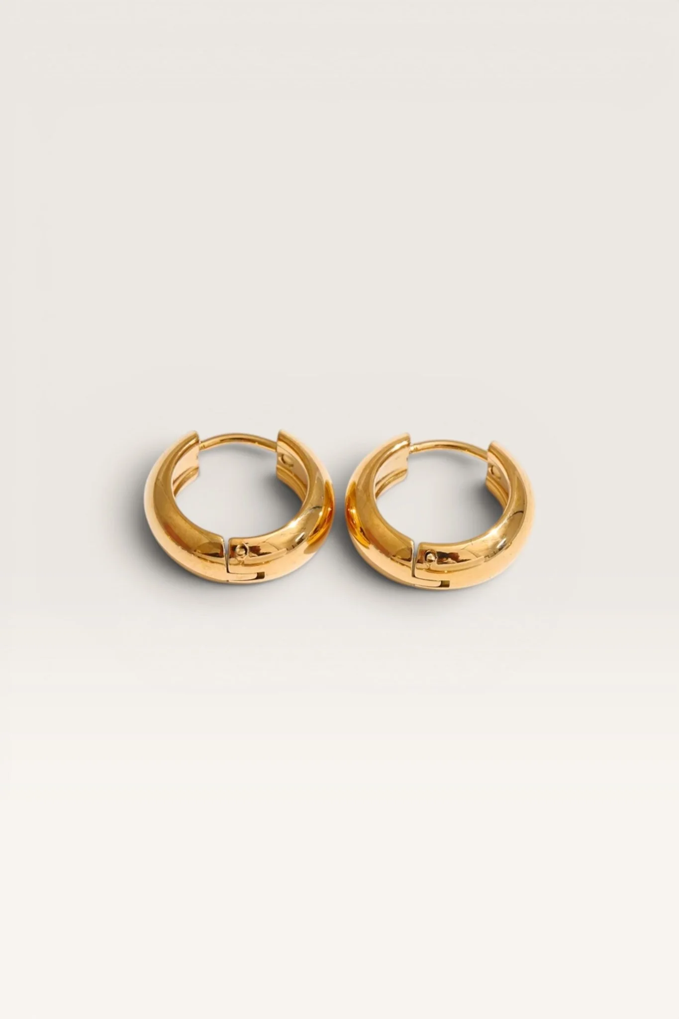 Companion Hoop Earring
