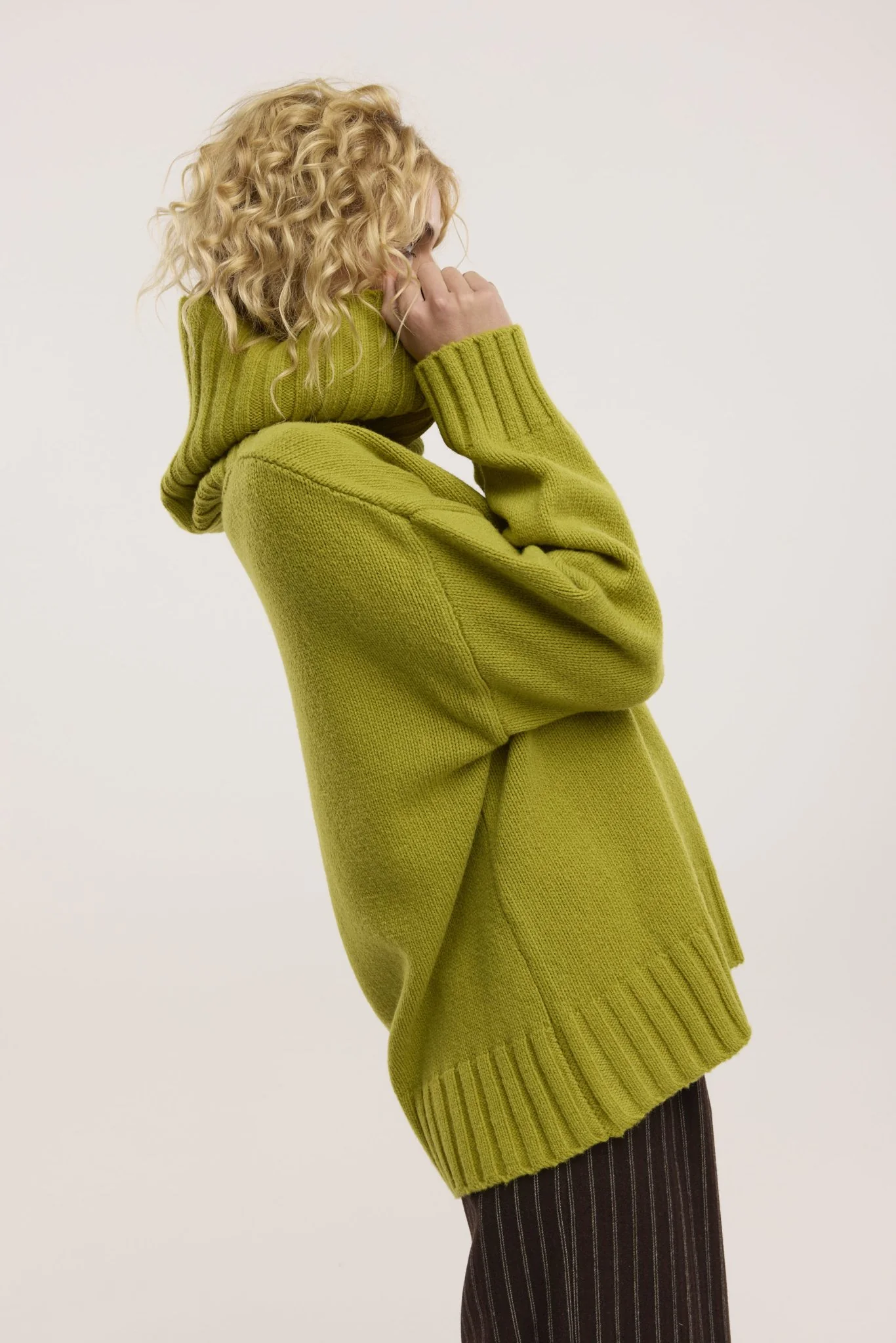 Sanctuary Roll Neck Jumper - Image 6